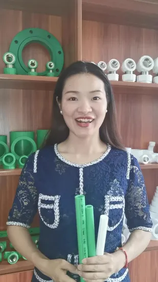 China 20mm-160mm Polypropylene PP-R/PPR Pipe for Cold and Hot Water Supply